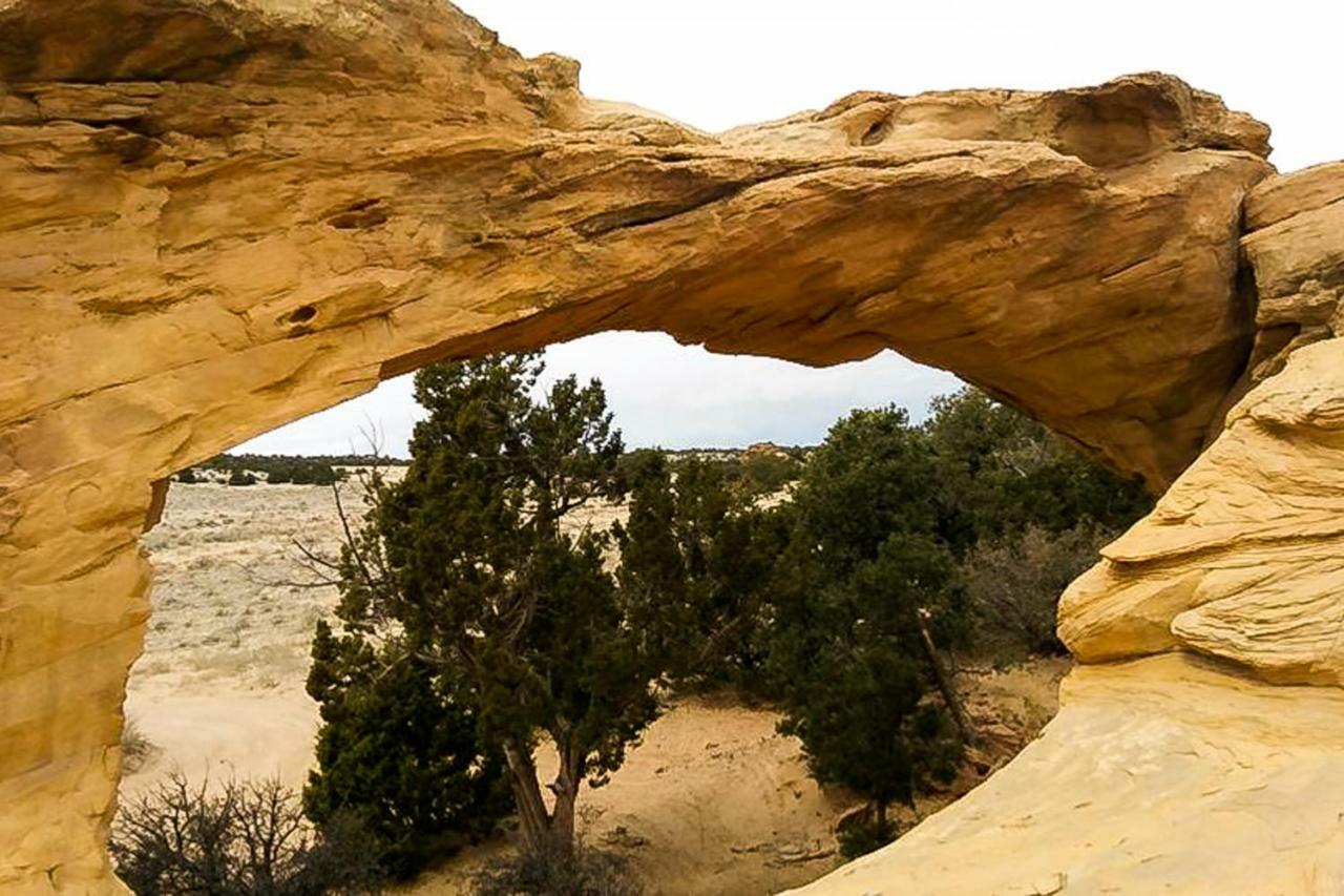 Cottonwoods Moab Exterior foto